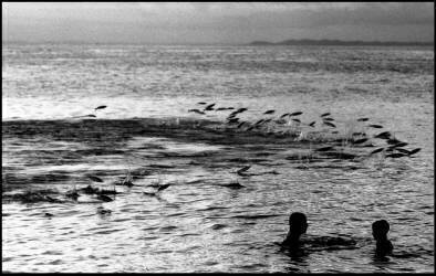 Brésil (Bruno Barbier) - Muzeo.com