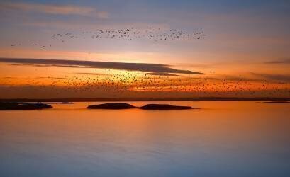 By sunset (Piotr Krol (Bax)) - Muzeo.com