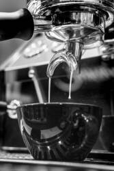 Café 007 (1x Studio III) - Muzeo.com