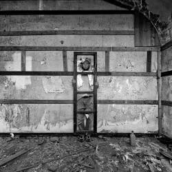 Camera roll (Carlo Ferrara) - Muzeo.com