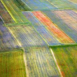 Castelluccio 4 (Massimo Della Latta) - Muzeo.com