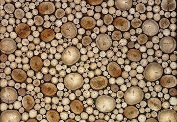 Circles (Aida Ianeva) - Muzeo.com