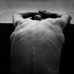 Cochlée (Mirjam Delrue) - Muzeo.com