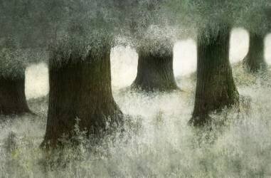 Connecté (Nel Talen) - Muzeo.com