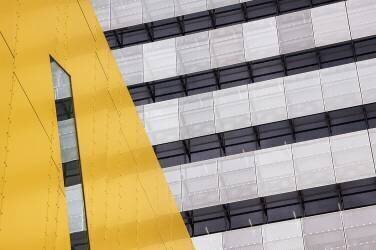 Continuation (Jacqueline Hammer) - Muzeo.com