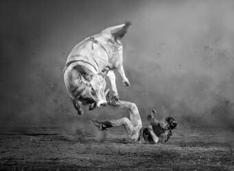 Counterattack (Irene Yu Wu) - Muzeo.com