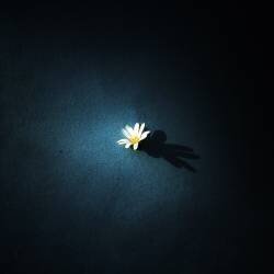 Courage (Sandra Savoric) - Muzeo.com