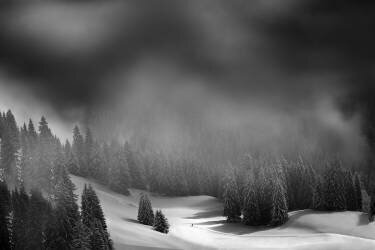 Cross Country (Christoph Hessel) - Muzeo.com