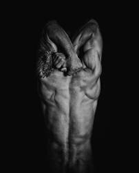 Deadend (Babak Haghi) - Muzeo.com