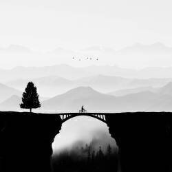 Dream vacation (Hadi Malijani) - Muzeo.com
