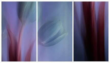 Dropp off (Ibrahim Nabeel) - Muzeo.com