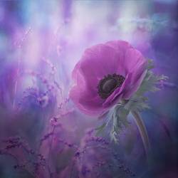 Ecstasy (Natalia Simongulashvili) - Muzeo.com