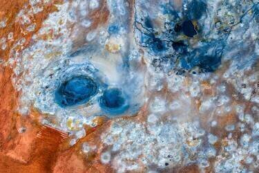 Effervescence (Alvaro Roxo) - Muzeo.com