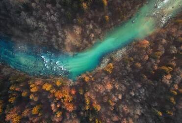 Emerald stream (Ales Krivec) - Muzeo.com