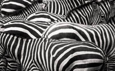 Ensemble (Roelof de Hoog) - Muzeo.com