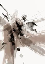 Étoile sauvage 002 (1x Studio II) - Muzeo.com