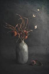 Flamboyant (Çiçek Kıral) - Muzeo.com