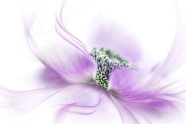 Flow (Jacky Parker) - Muzeo.com