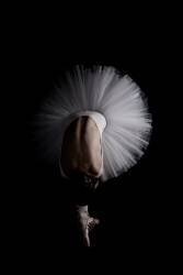 Flower (Eugenio Cini) - Muzeo.com