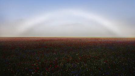 Fogbow (Roberto Marchegiani) - Muzeo.com