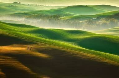 Freedom.... (Krzysztof Browko) - Muzeo.com