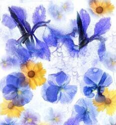 Frozen Spring (Catherine W.) - Muzeo.com