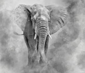 Géant (Ilona Rosenkrancova) - Muzeo.com