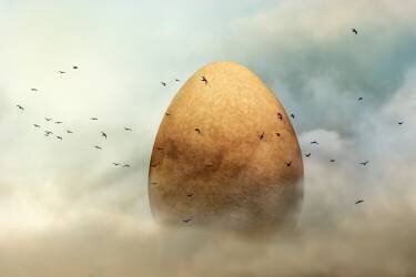 Genesis (Piet Flour) - Muzeo.com