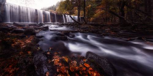 Gloom (Mario Lechuga) - Muzeo.com