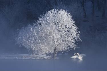 Greetings (UU) - Muzeo.com