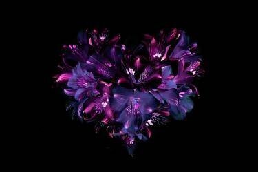 Heartfelt (Jacky Parker) - Muzeo.com