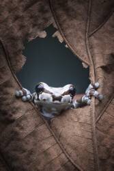 Hello (Rini Widyantini) - Muzeo.com