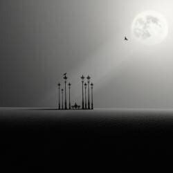 Hermite (Hadi Malijani) - Muzeo.com