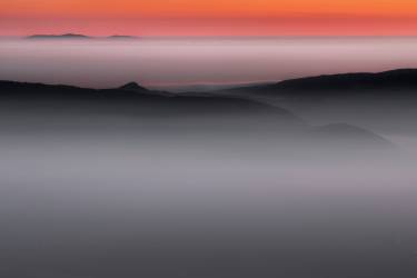 Homeland (Dragisa Petrovic) - Muzeo.com