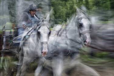 En vedette (Milan Malovrh) - Muzeo.com