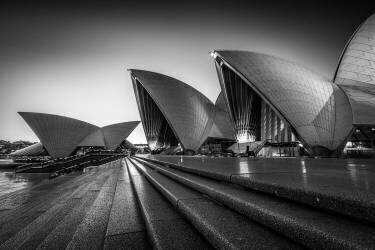 In Silhouette (Tim Fan) - Muzeo.com