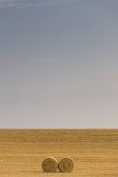 Infinity (Tony Goran) - Muzeo.com