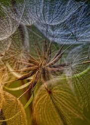 Inside (Kent Mathiesen) - Muzeo.com