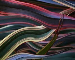 Interwoven (Robin Wechsler) - Muzeo.com