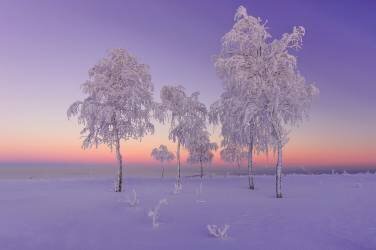 Soirée de janvier (Ruslan Makhmud-Akhunov) - Muzeo.com