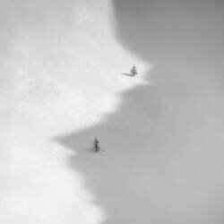 JinJang (Peter Svoboda MQEP) - Muzeo.com