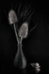 Just.. (Krzysztof Dymkowski) - Muzeo.com