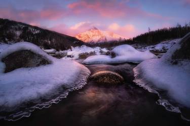 Krivan VI (Marian Kuric) - Muzeo.com