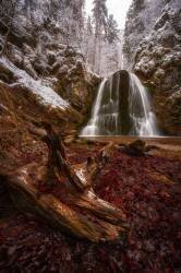 La transition (Anastasios Gialopoulos) - Muzeo.com