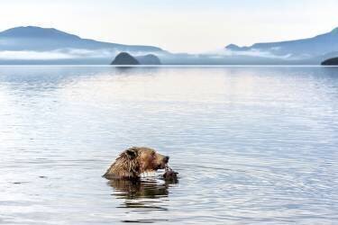 Lac Kurile (Giuseppe Damico) - Muzeo.com
