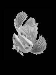 L'amour (Andi Halil) - Muzeo.com