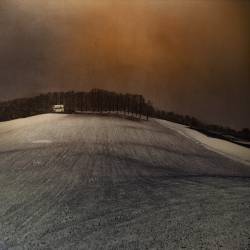 Landscape (Inge Schuster) - Muzeo.com