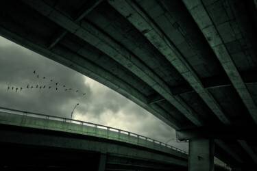 Last Flight (David Senechal Photographie) - Muzeo.com