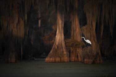 Last Light (Roberto Marchegiani) - Muzeo.com