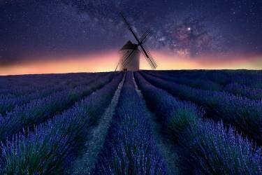 Lavender night (Jose Antonio Trivino) - Muzeo.com